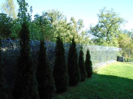 pletiva dobrý hrdlořezy 2